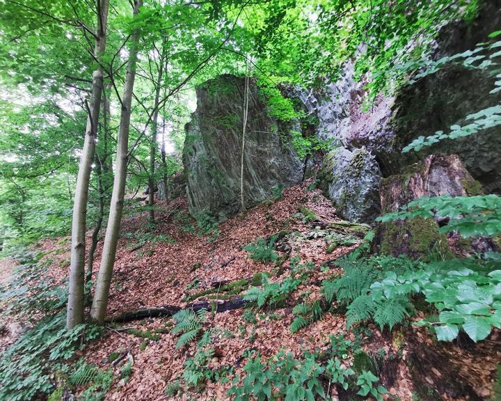 Jausenstation Burgruine Loewenstein